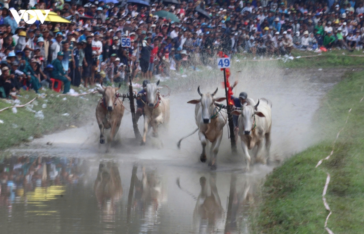 an giang 64 doi bo tranh tai tai hoi dua bo bay nui hinh anh 6