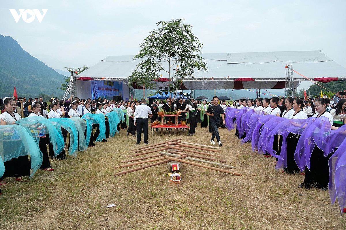 theo nhip chay khua luong, vui hoi kin lau khau mau cua nguoi thai trang lai chau hinh anh 6