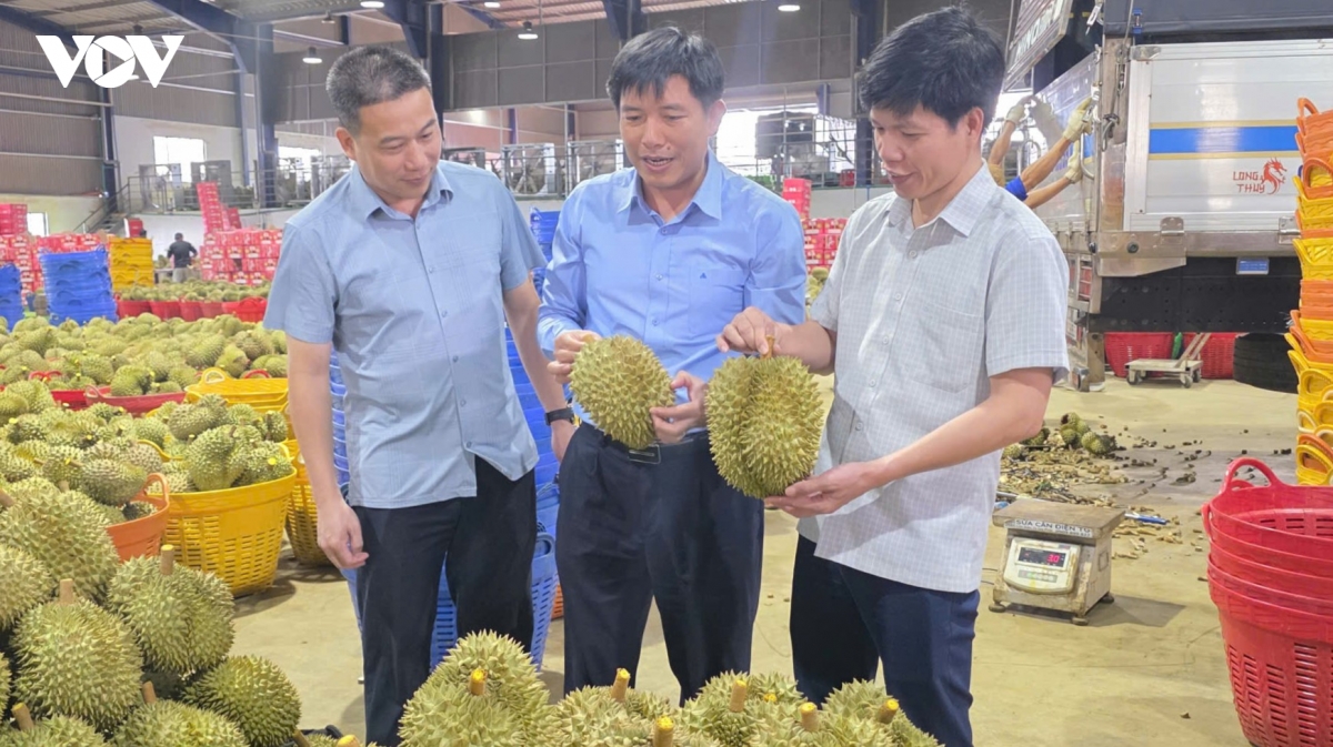 Bàn cách duy trì mã số vùng trồng, mở rộng thị trường xuất khẩu tại Lâm Đồng