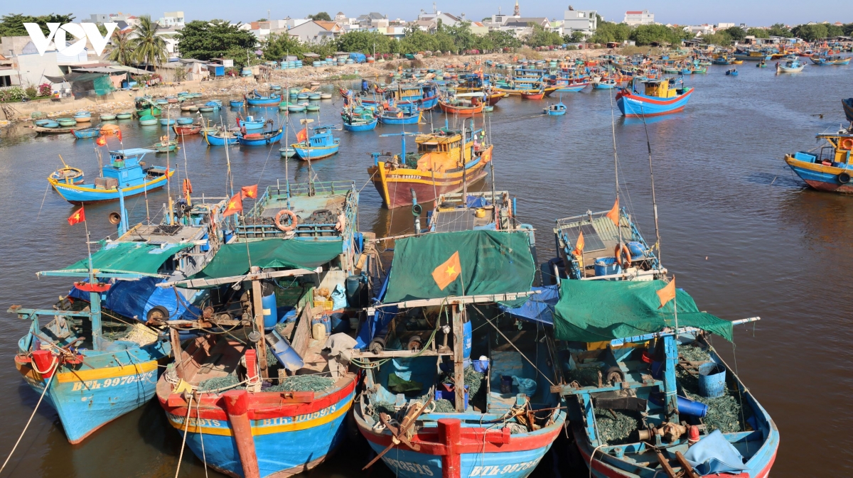 Lâm Đồng cảnh báo mưa dông, sạt lở và biển động