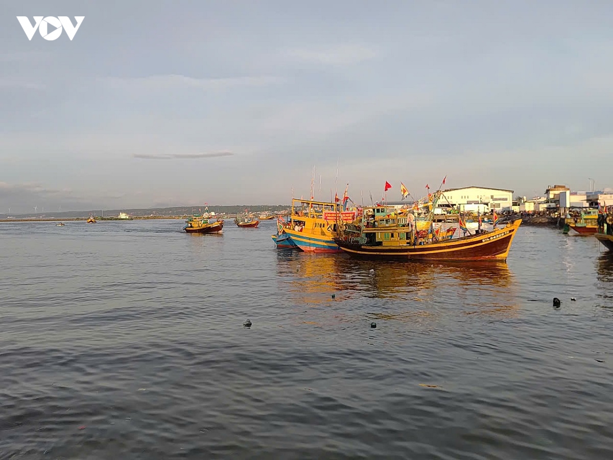 lam Dong tang cuong quan ly tau ca nguy co cao vi pham khai thac iuu hinh anh 3