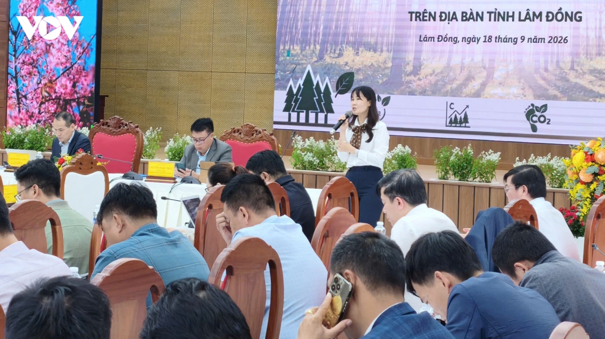 tin chi carbon tu rung co hoi moi de nang cao gia tri tai nguyen rung lam Dong hinh anh 2