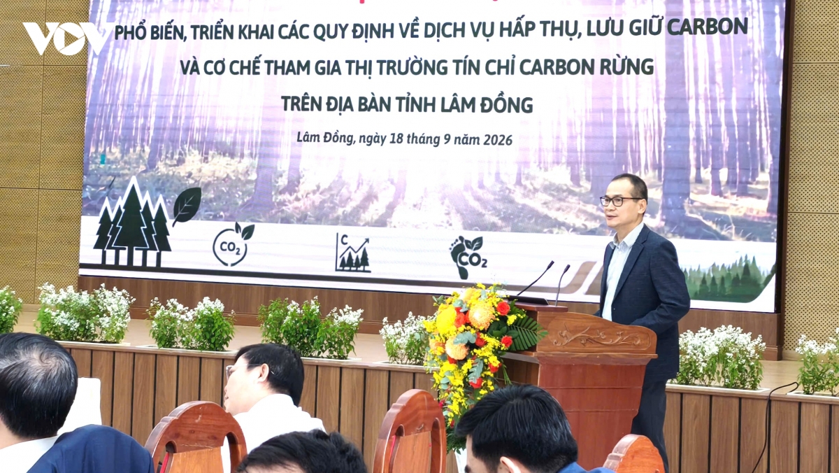 tin chi carbon tu rung co hoi moi de nang cao gia tri tai nguyen rung lam Dong hinh anh 4