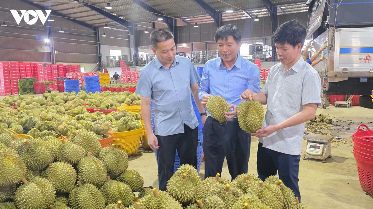 lam Dong tu cap ma den giu vung ma so vung trong hinh anh 1