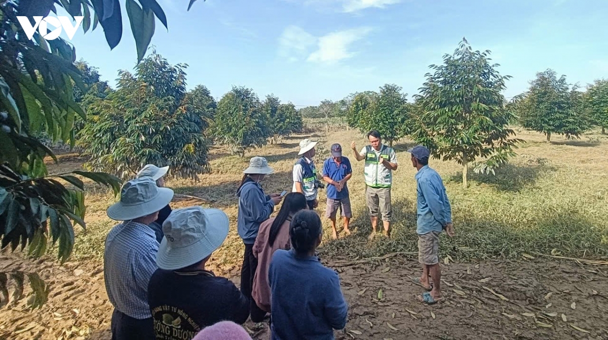 lam Dong tu cap ma den giu vung ma so vung trong hinh anh 3