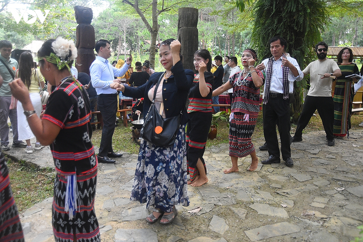 le hoi van hoa the gioi tai ha noi lan toa sac mau 54 dan toc viet nam hinh anh 11
