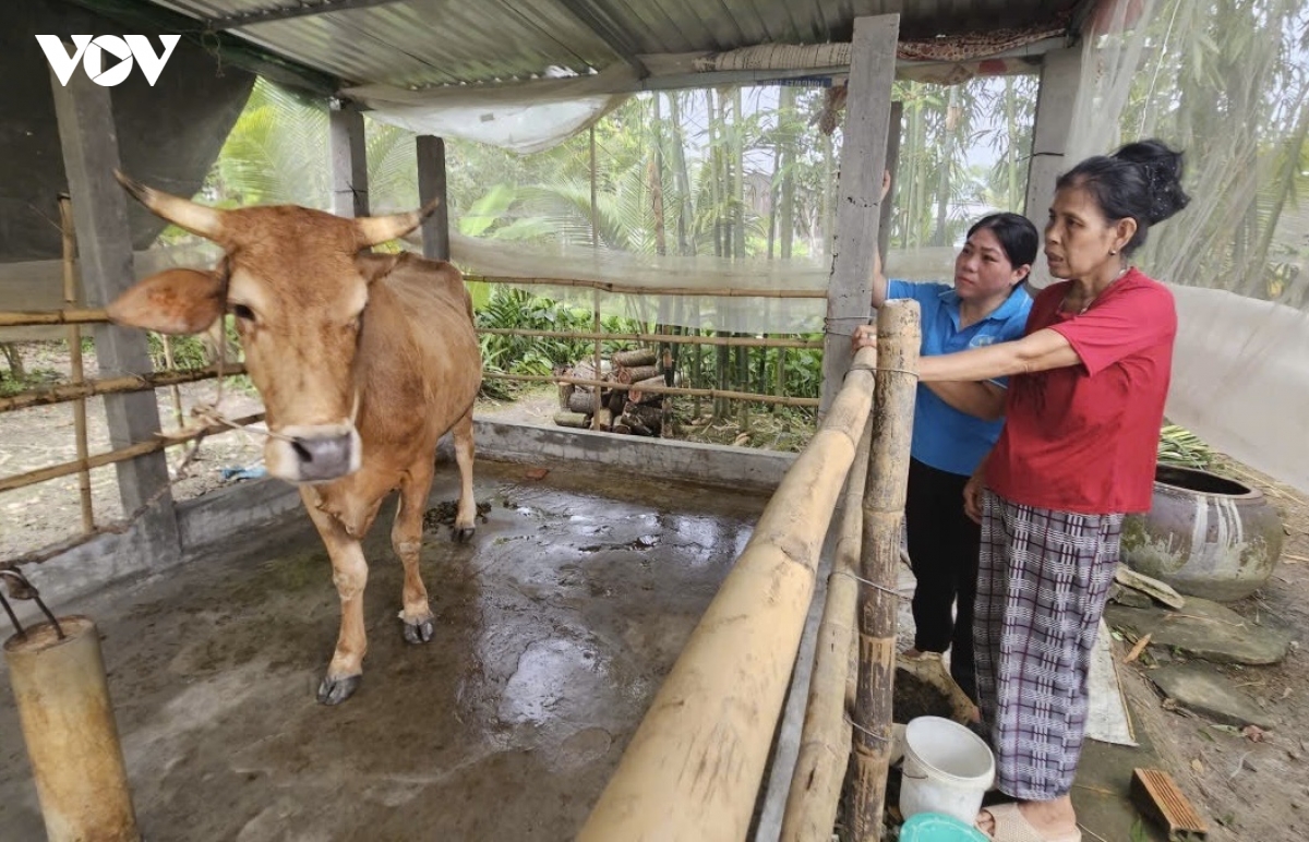 Dong bao khmer don le sen Don ta am ap niem vui hinh anh 2