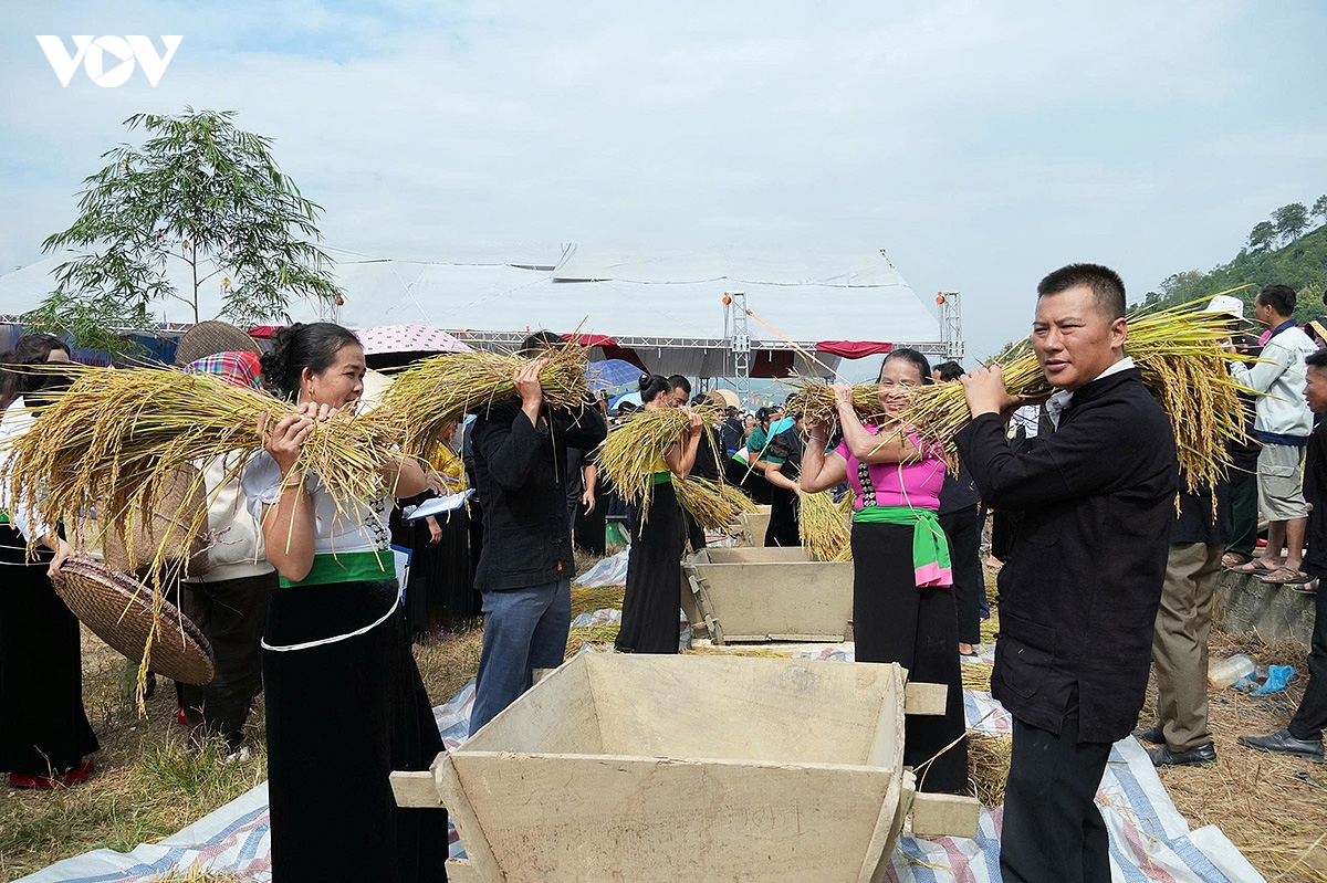 theo nhip chay khua luong, vui hoi kin lau khau mau cua nguoi thai trang lai chau hinh anh 7