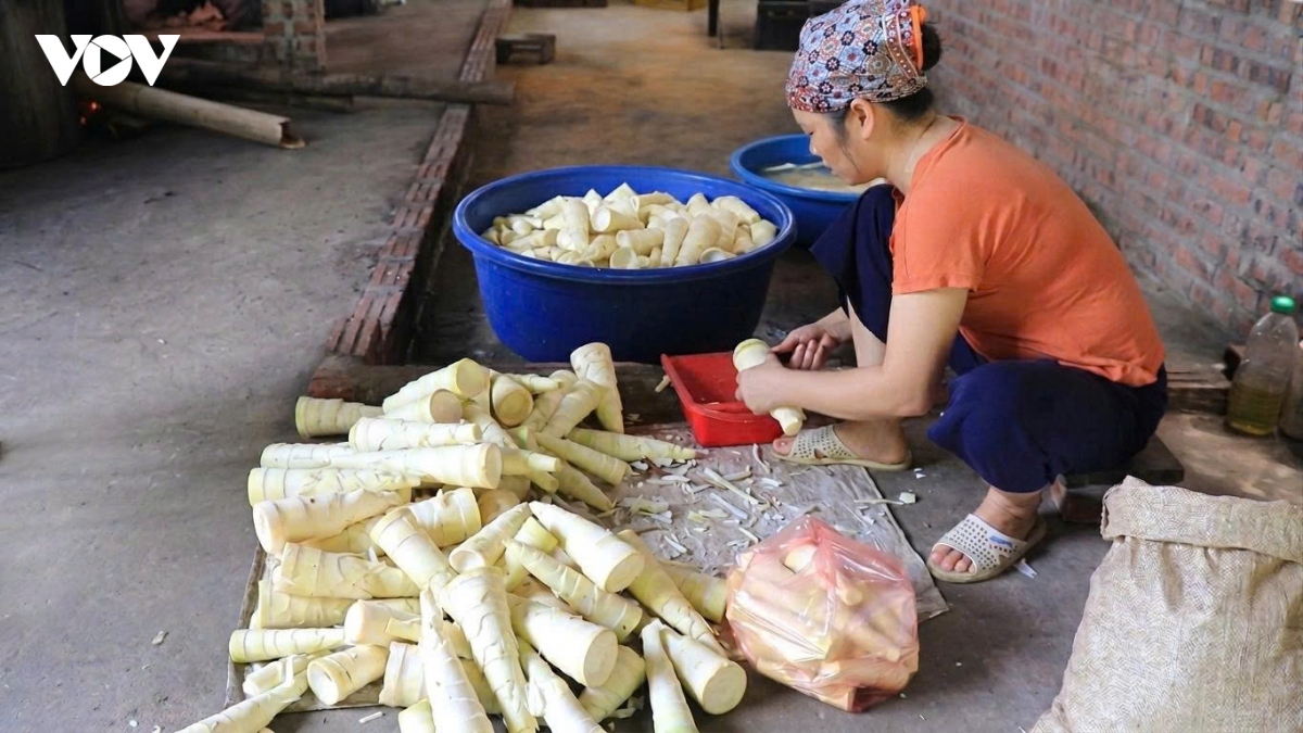mang kho cho Don tu san vat quen thuoc den san pham ocop hinh anh 2
