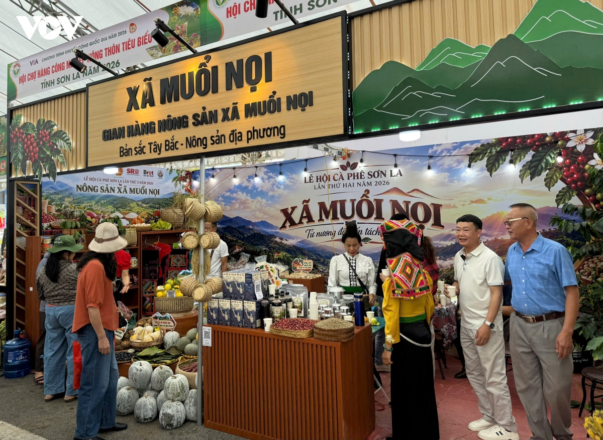 noi tinh hoa ca phe hoi tu hinh anh 6