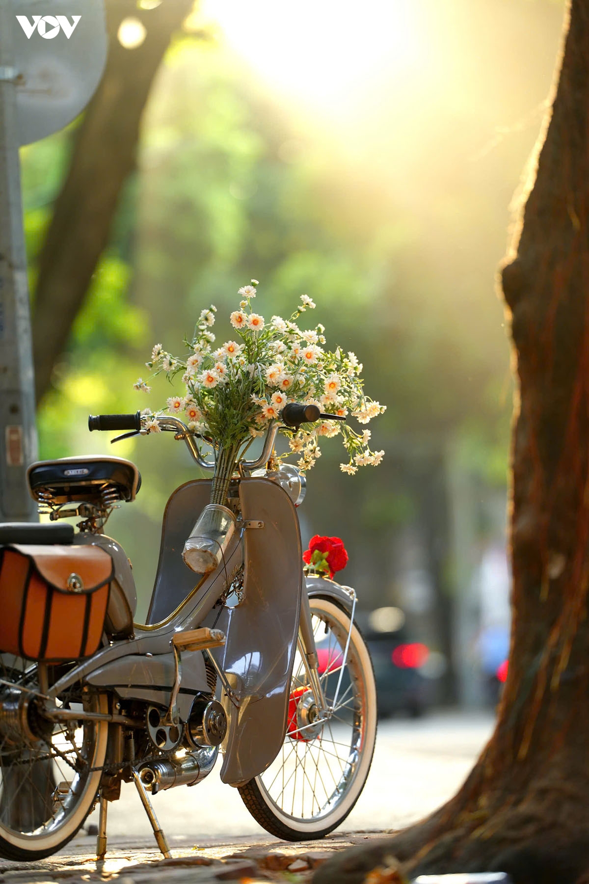 lang man nang som thu ha noi hinh anh 7