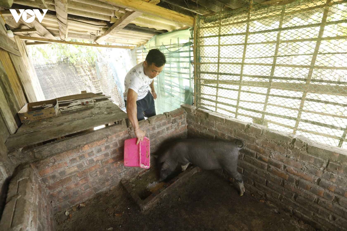 tu nhung cuoc doi hoi sinh den ban lang khong ma tuy hinh anh 4