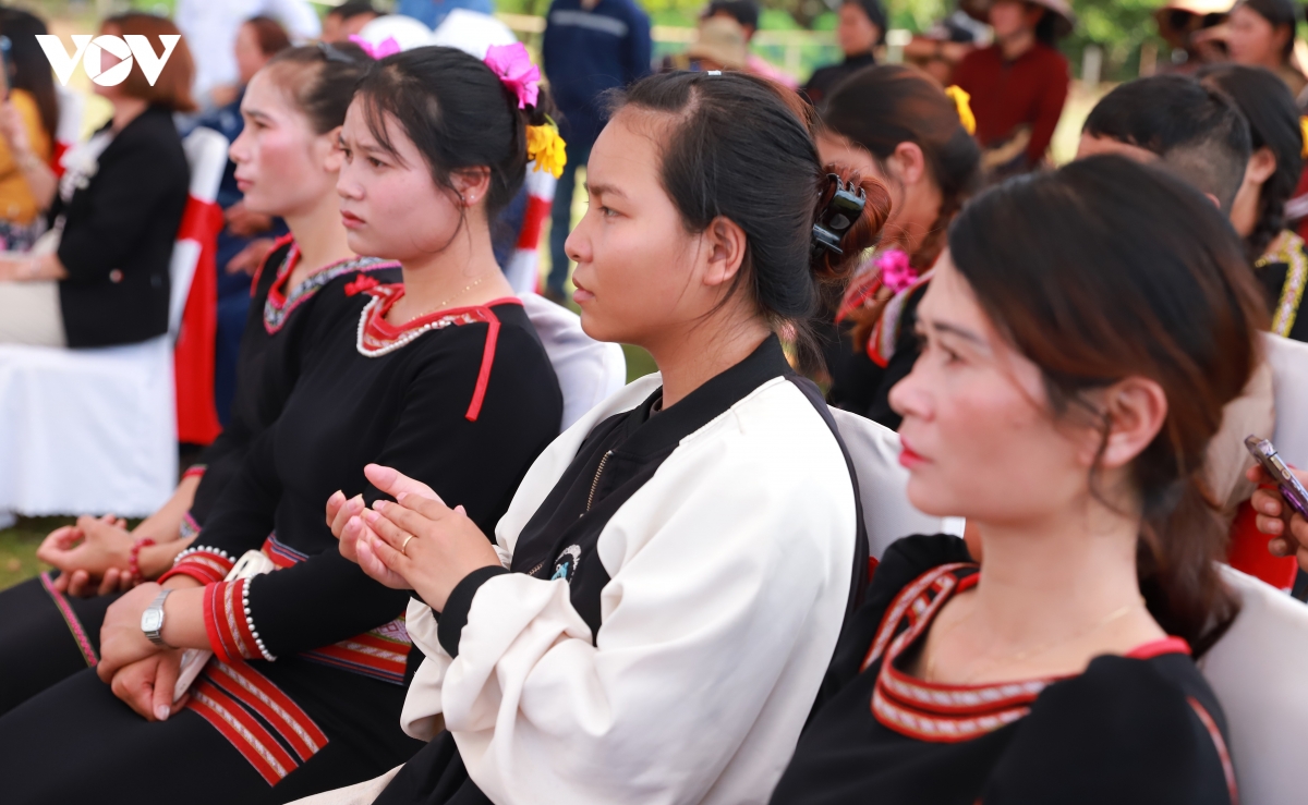 gia lai to chuc ngay hoi mo cua ia pech nam 2026 thuc day hop tac phat trien hinh anh 2
