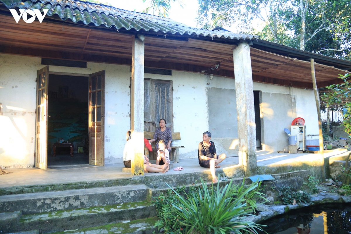 ho Dam sen, lao cai tai o nhiem, nguoi dan Au lau lo lang hinh anh 2