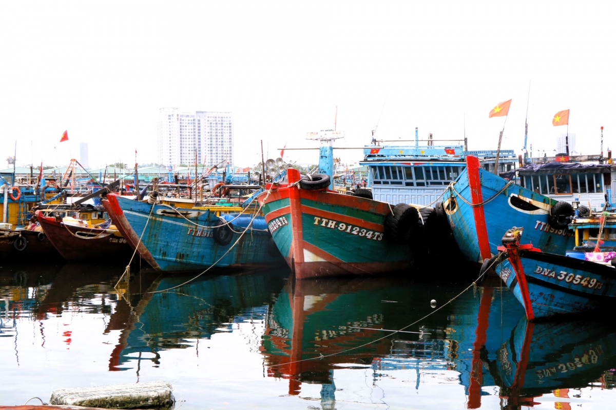 Đà Nẵng khép kín chuỗi giám sát IUU