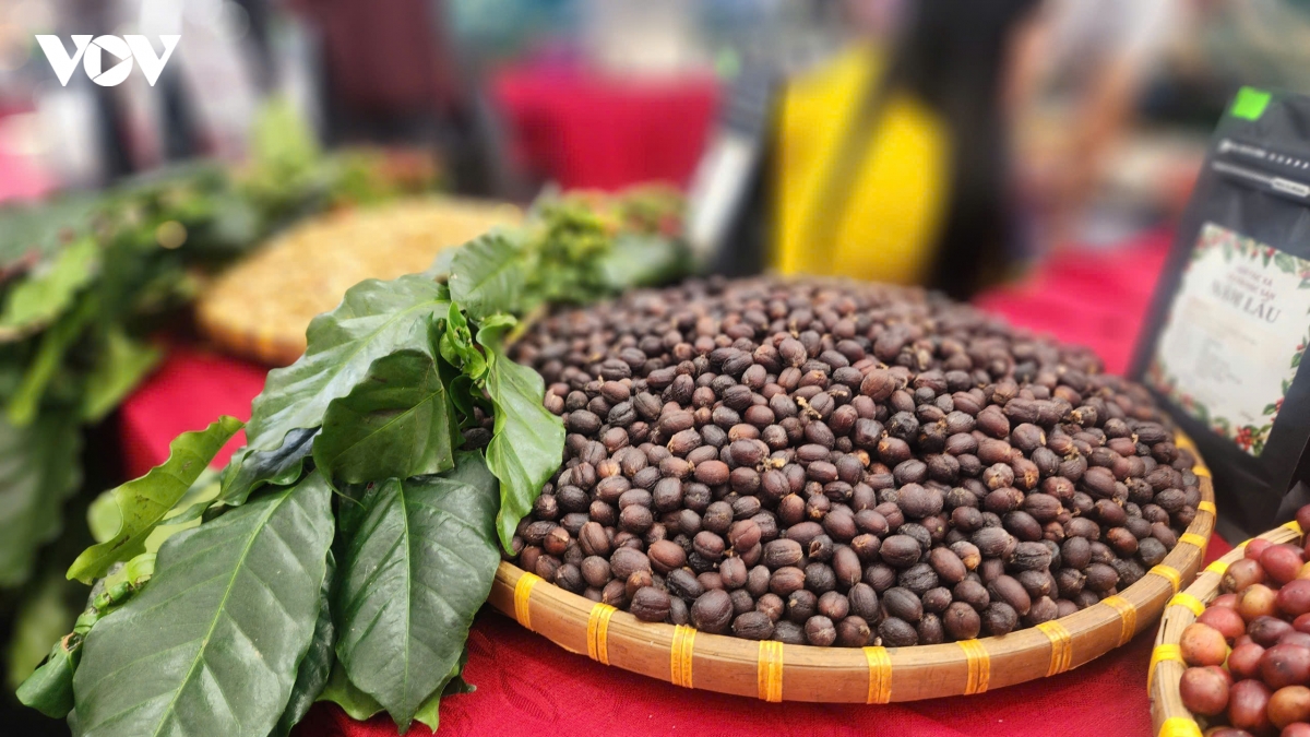 nguoi son la thich thu kham pha food tour tai le hoi ca phe hinh anh 2