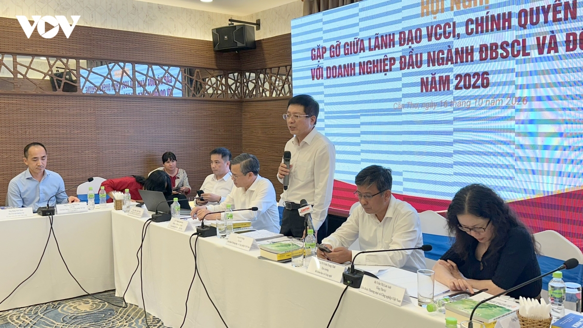 phat huy vai tro doanh nghiep dan dau, thuc day kinh te vung Dbscl hinh anh 3