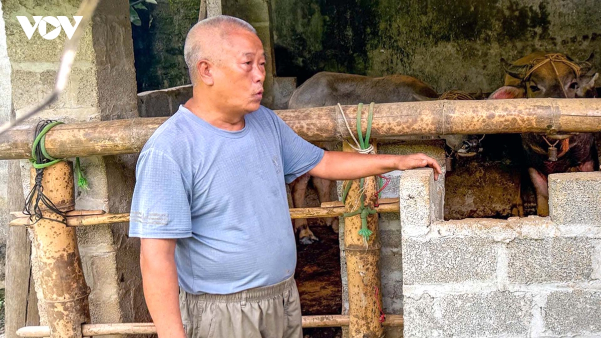 thai nguyen chuyen huong giam ngheo, tao sinh ke ben vung hinh anh 1