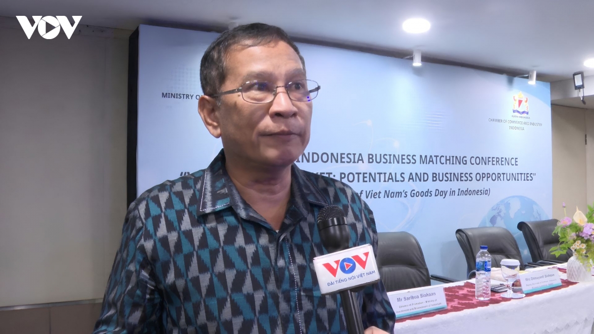 ong-saribua-siahaan-giam-doc-xuc-tien-dau-tu-khu-vuc-dong-nam-a-cua-bo-dau-tu-va-cong-nghiep-che-bien-ha-nguon-indonesia-.jpeg