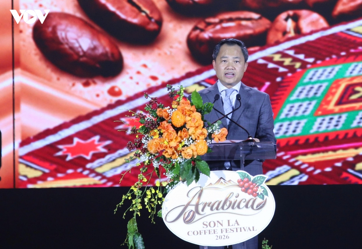 khai hoi arabica son la vuon tam the gioi hinh anh 3