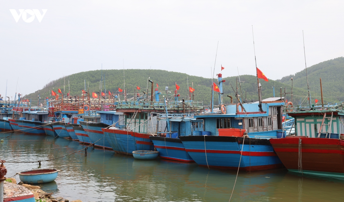 quang ngai quan ly tau ca qua phan mem ecdt hinh anh 3