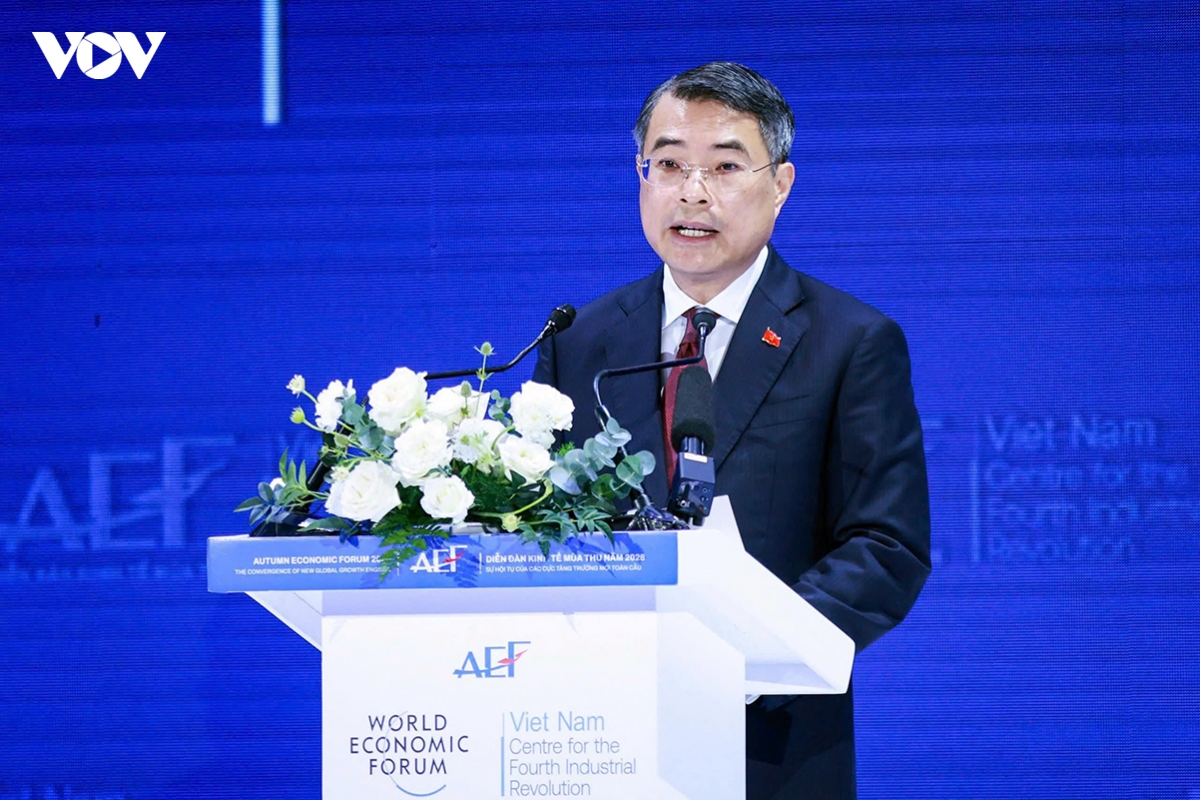 vietnam looks beyond investment attraction to co-create new growth drivers picture 1