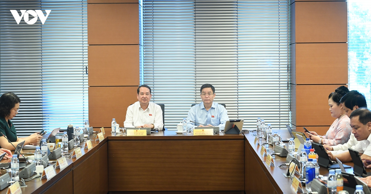 Dai bieu quoc hoi de nghi con nuoi da thanh nien can duoc biet nguon goc cua minh hinh anh 4