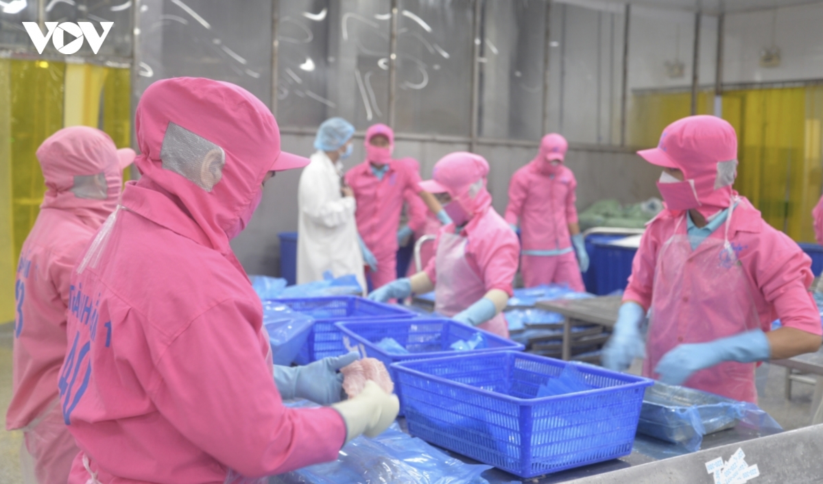Pangasius exports to Middle East up 7%, led by Saudi Arabia