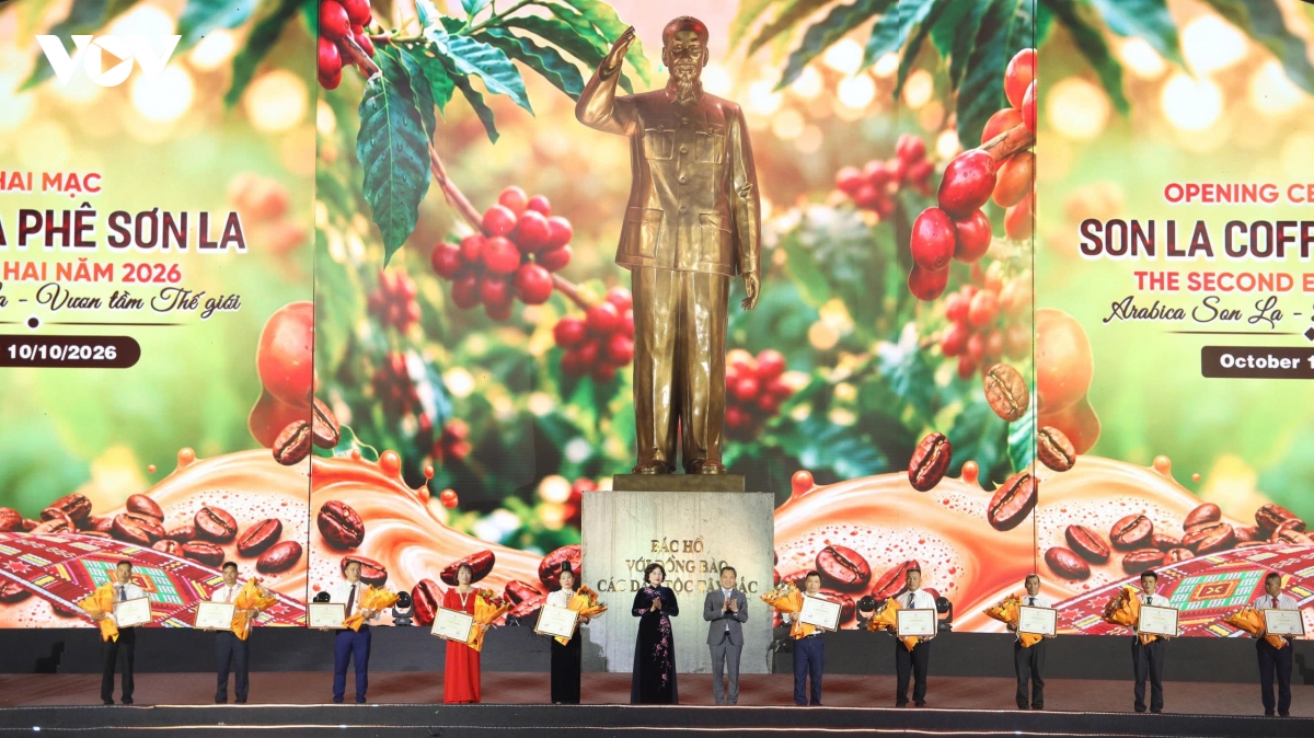 khai hoi arabica son la vuon tam the gioi hinh anh 2