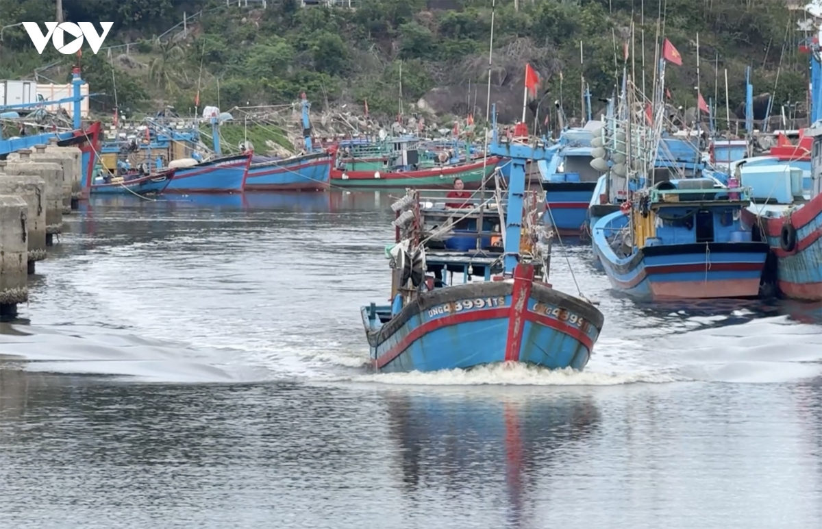 Quảng Ngãi đẩy mạnh chuyển đổi số thủ tục xuất nhập bến đối với tàu cá