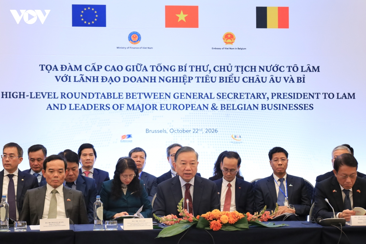 toan canh chuyen tham eu, Dan mach va vuong quoc bi cua tong bi thu, chu tich nuoc to lam hinh anh 13