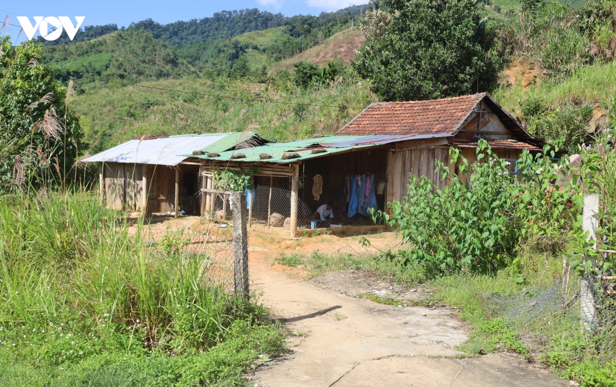 quang ngai hon 5 nam den lang thanh nien lap nghiep, nguoi dan van chua co so do hinh anh 4