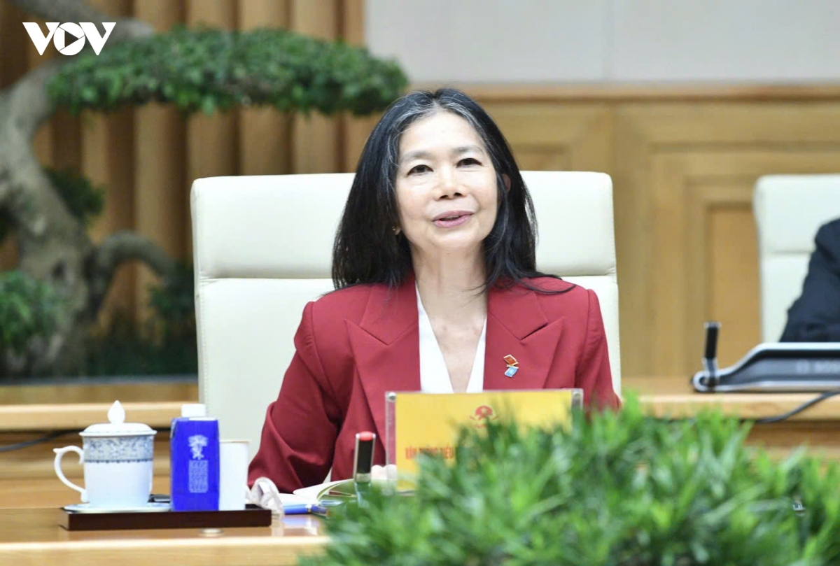thu tuong tiep Dieu phoi vien thuong tru va truong dai dien cac to chuc cua lhq hinh anh 3