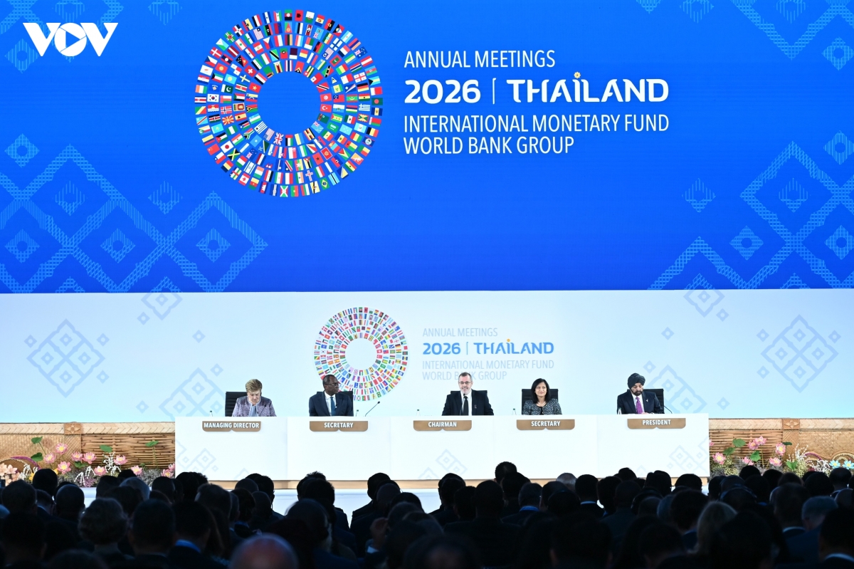 imf-wb 2026 noi lo khung hoang 800 trieu viec lam cho gioi tre hinh anh 1