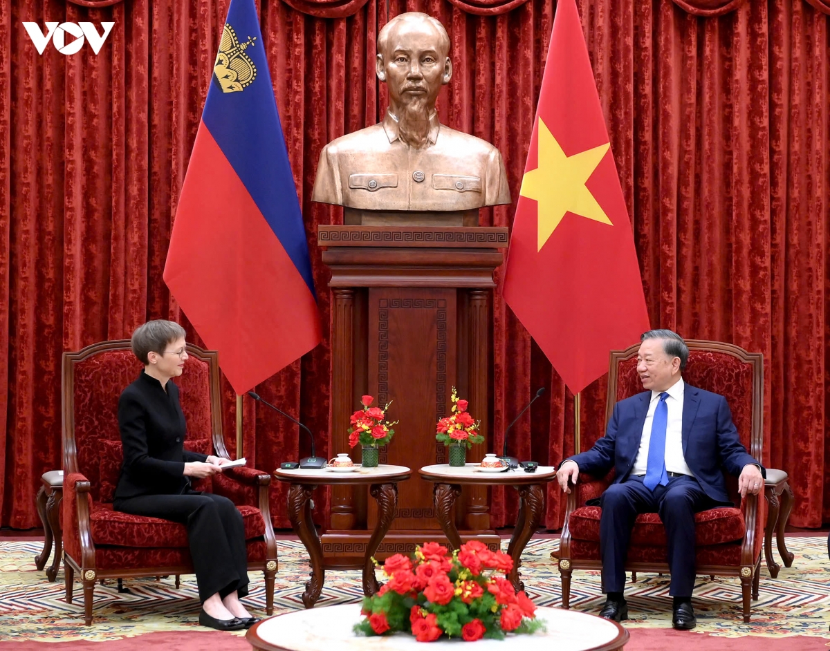 tong bi thu, chu tich nuoc to lam tiep thu tuong cong quoc liechtenstein hinh anh 2