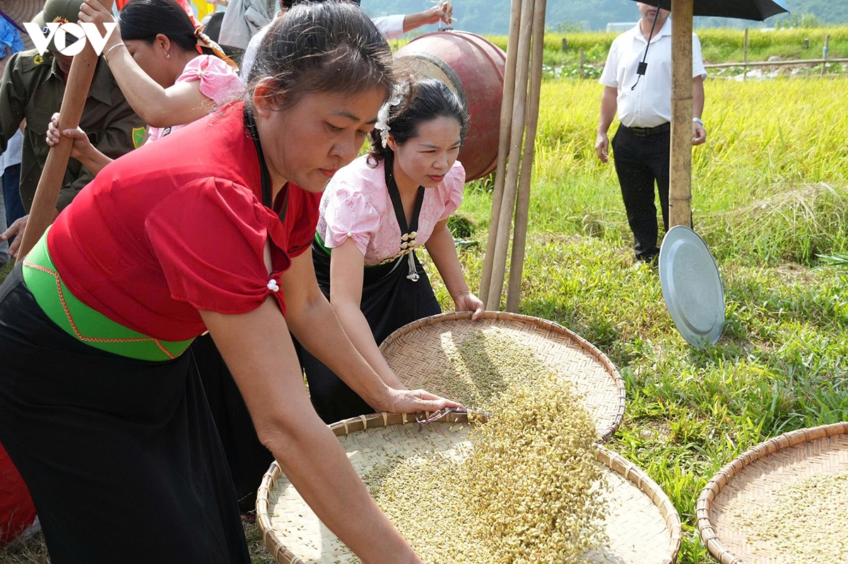 theo nhip chay khua luong, vui hoi kin lau khau mau cua nguoi thai trang lai chau hinh anh 11