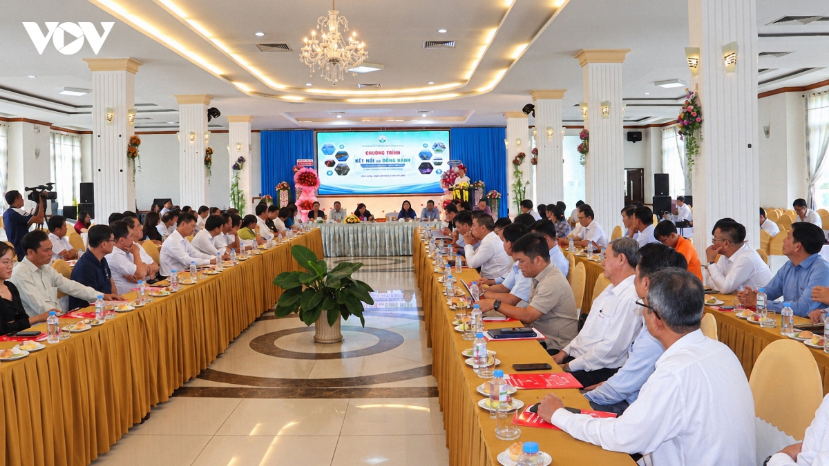 vinh long tang cuong doi thoai, dong hanh cung doanh nghiep hinh anh 2