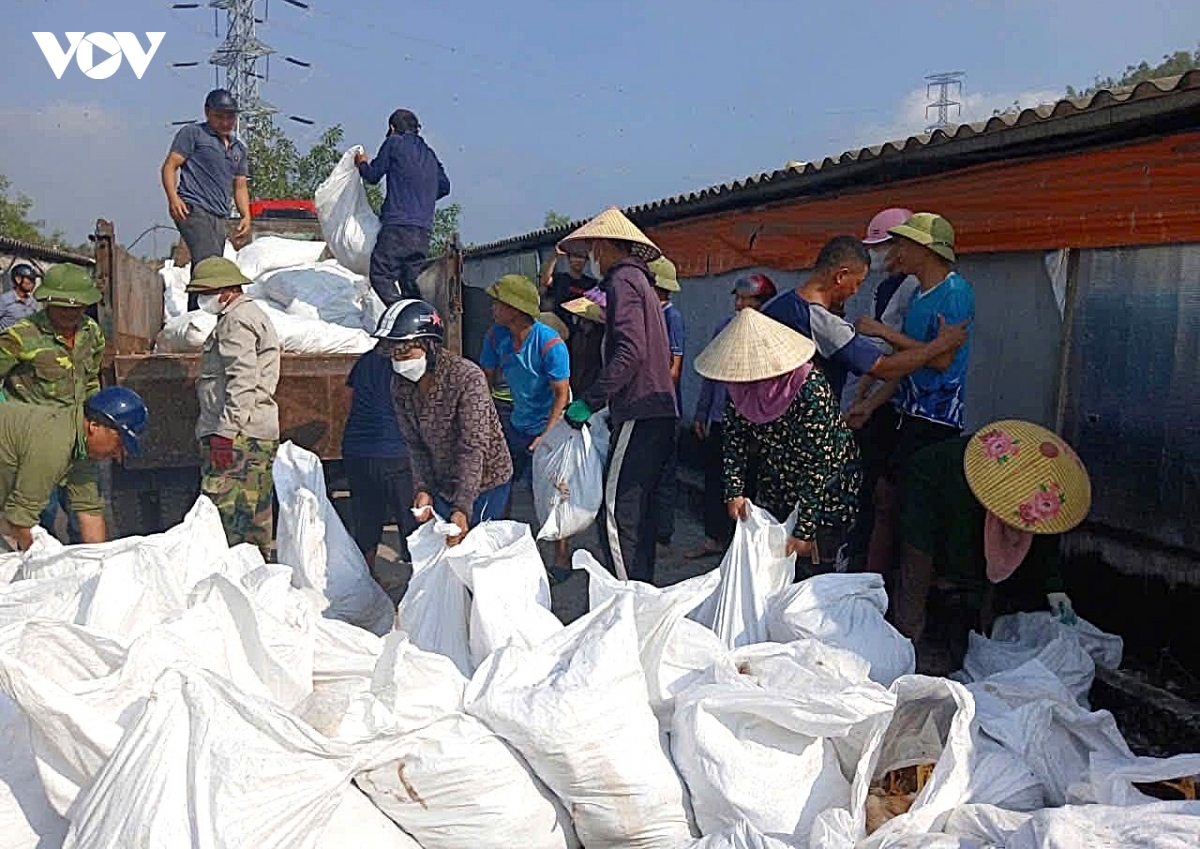 12.000 con gà chết sau sự cố chập điện ở Nghệ An