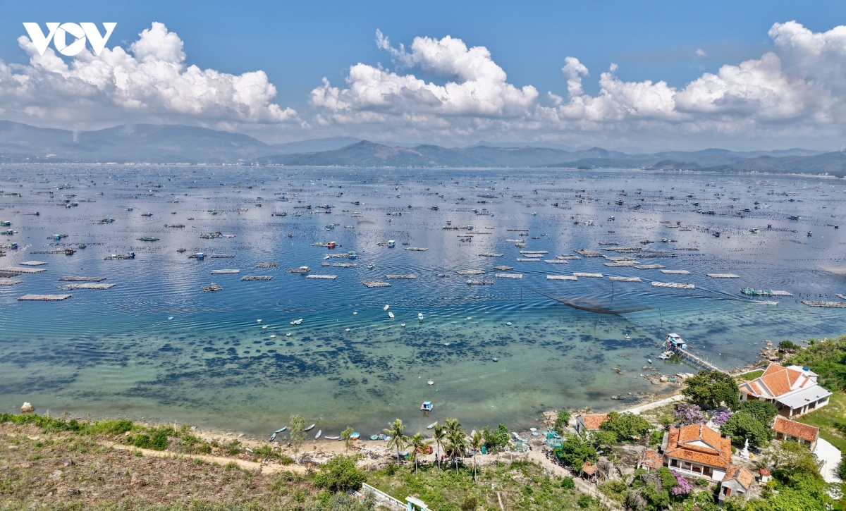 vu tom hum dau tien sau lu du tren vinh xuan Dai Dak lak hinh anh 1