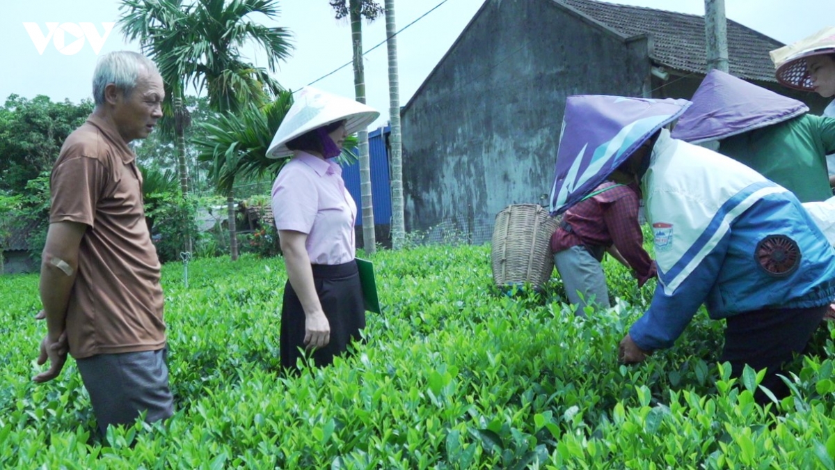 Khoản vay nhỏ, đổi thay lớn ở miền núi Thái Nguyên