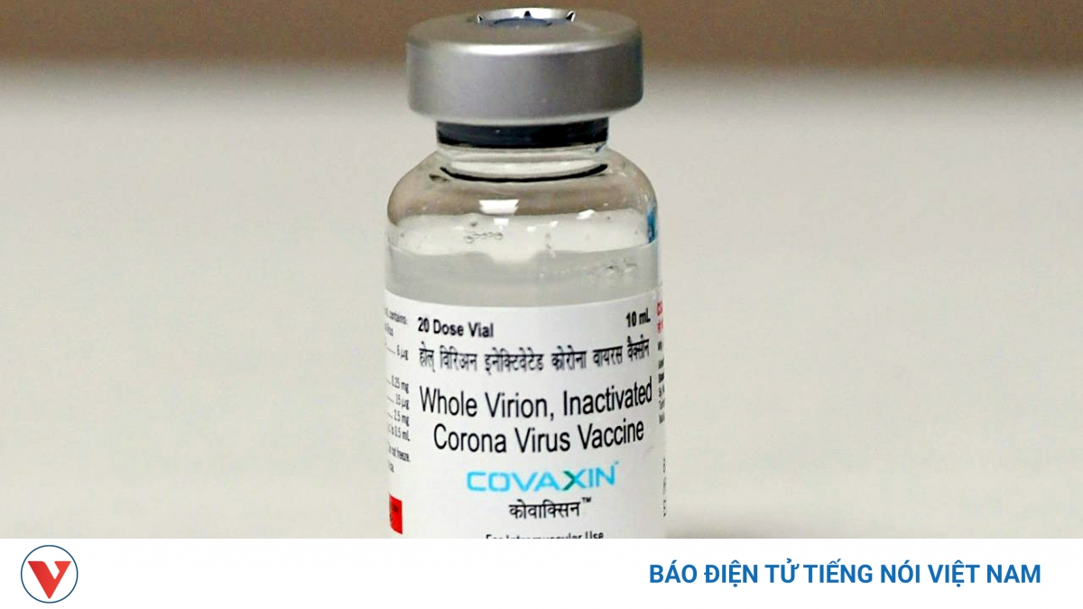 Ấn Độ yêu cầu EU công nhận vaccine COVID-19 "có đi có lại" - Vimarsana News