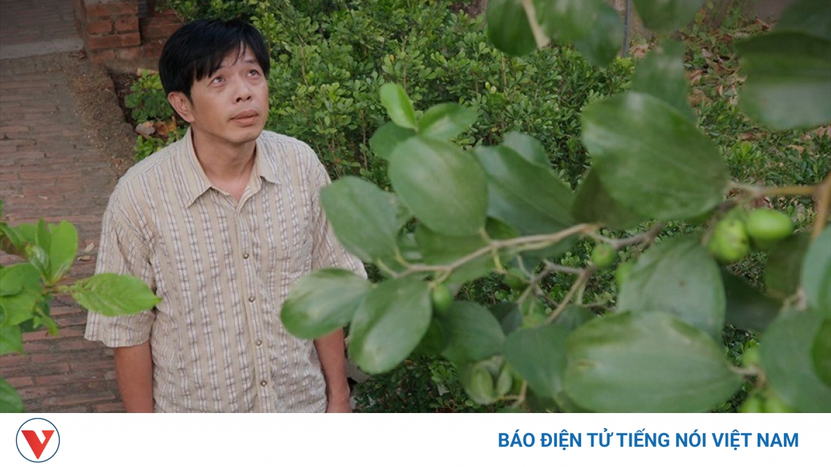 Giải mã hiện tượng "Cây táo nở hoa": Đầu tư bài bản sẽ được đền đáp xứng đáng - Vimarsana News