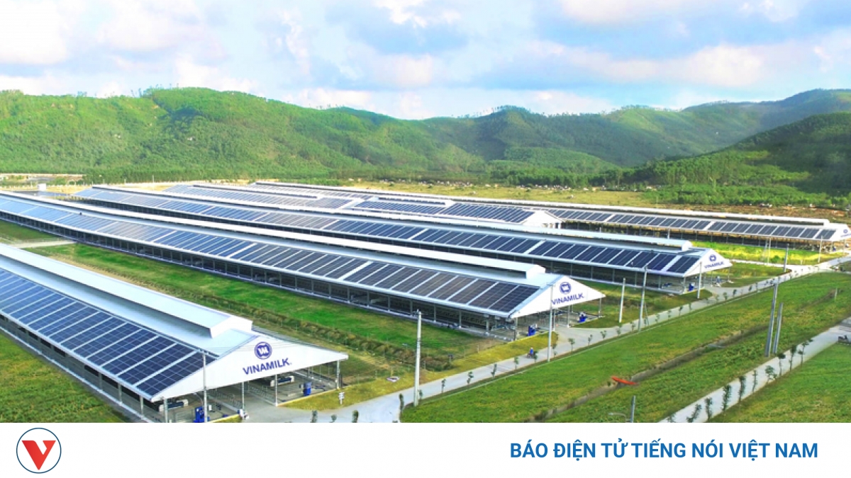 Phát triển nhanh cần thời cơ nhưng phát triển bền vững phải có hệ thống quản trị tốt - Vimarsana News