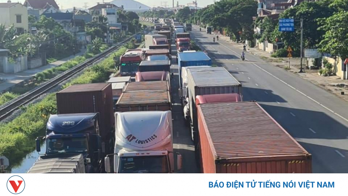 Yêu cầu Hải Phòng đấu nối với "luồng xanh" vận tải quốc gia để giảm ùn tắc - Vimarsana News