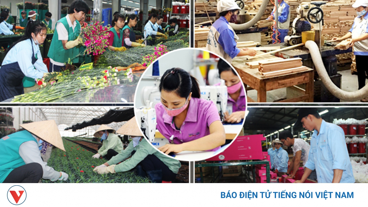 Dự báo tăng trưởng: Kinh tế Việt Nam không thể chỉ mãi lo "phòng thủ" - Vimarsana News