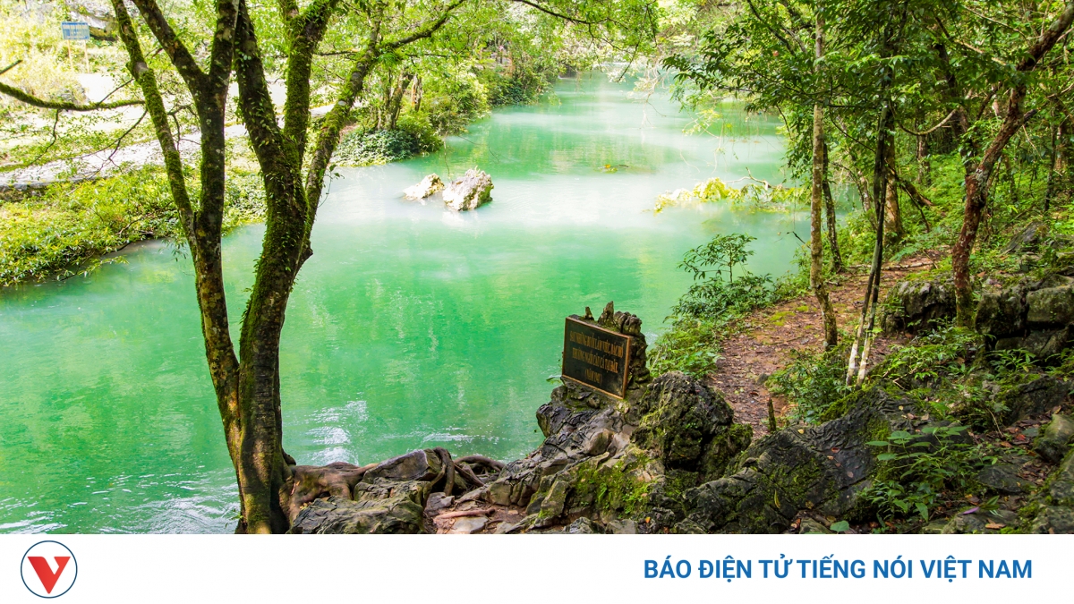 Về nơi đầu nguồn Pác Bó - Vimarsana News
