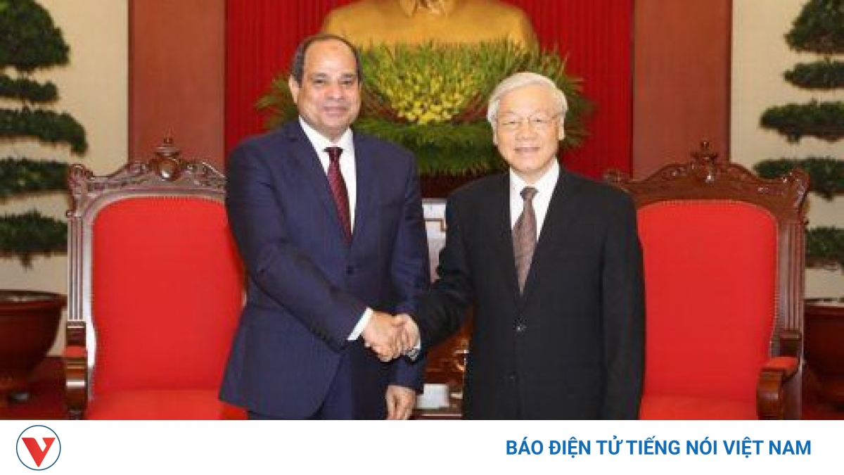 Đại sứ Ai Cập "thật sự ấn tượng" với bài viết của Tổng Bí thư Nguyễn Phú Trọng - Vimarsana News