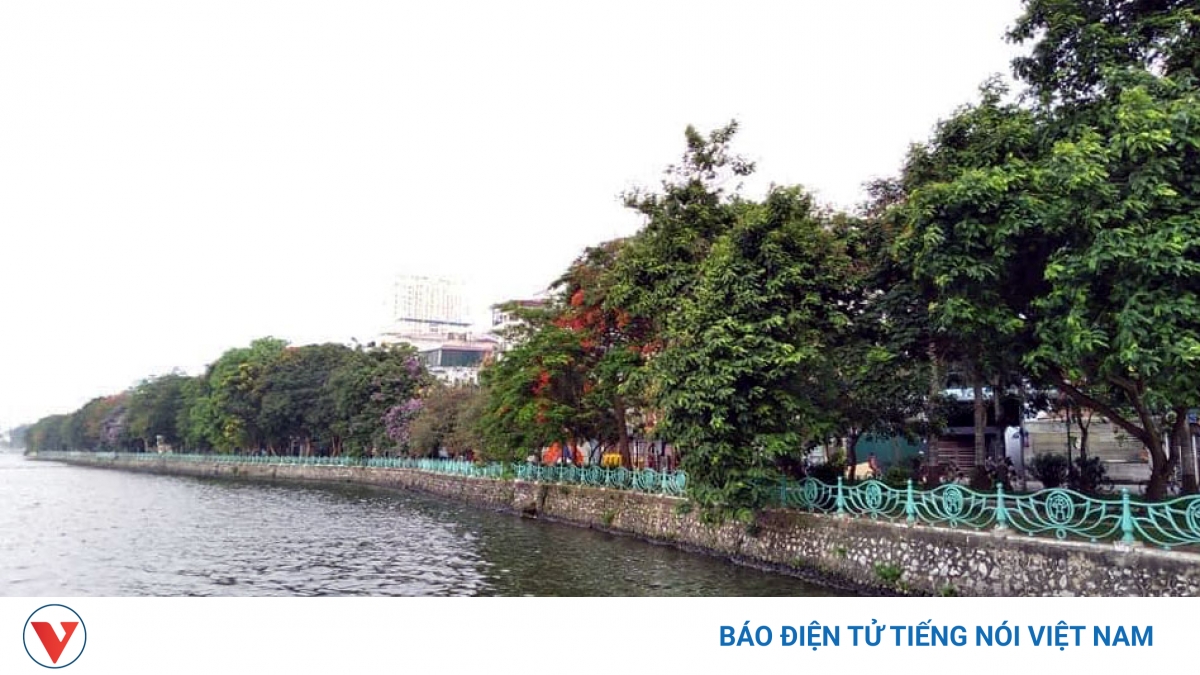 Dự báo thời tiết hôm nay (11/7): Cả nước ngày nắng, đêm có mưa và dông vài nơi - Vimarsana News