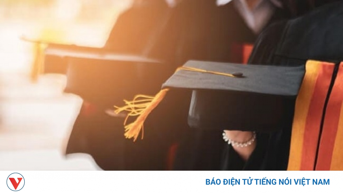 Phó Thủ tướng Vũ Đức Đam yêu cầu Bộ GD-ĐT tiếp thu ý kiến về đào tạo tiến sĩ - Vimarsana News