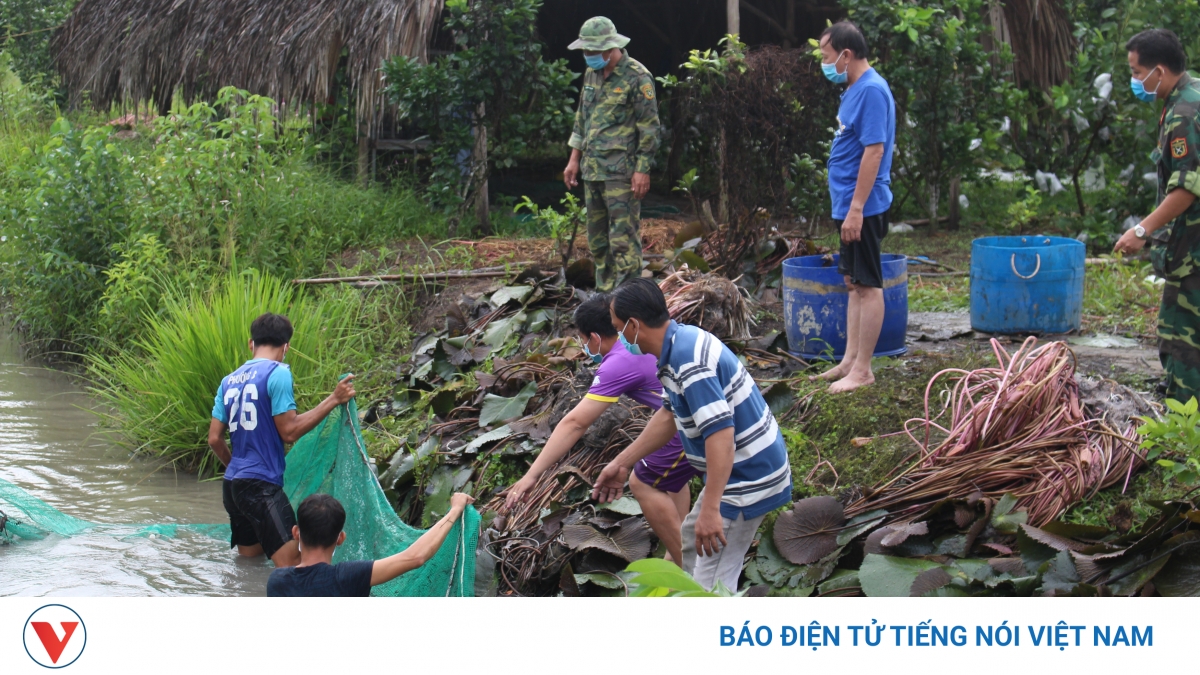 Người dân dậy từ tờ mờ sáng gói bánh, đánh cá gửi tặng lực lượng tuyến đầu chống dịch - Vimarsana News